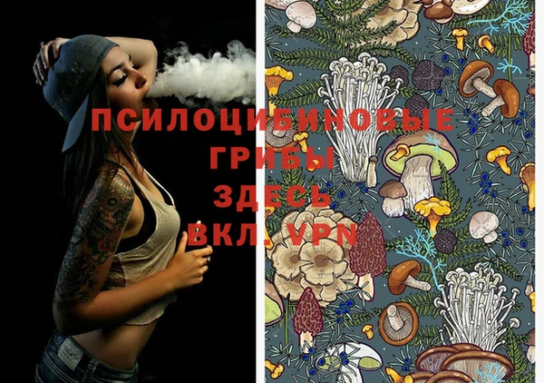 мефедрон VHQ Нефтекумск