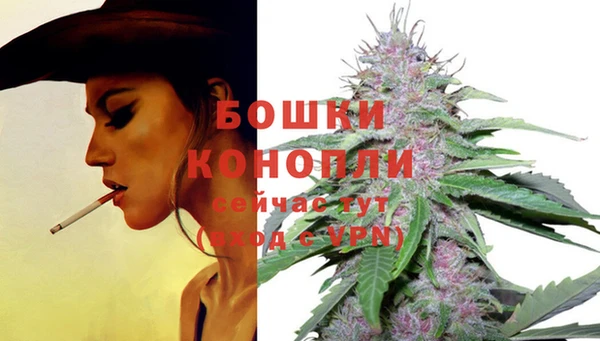 мяу мяу мука Бикин