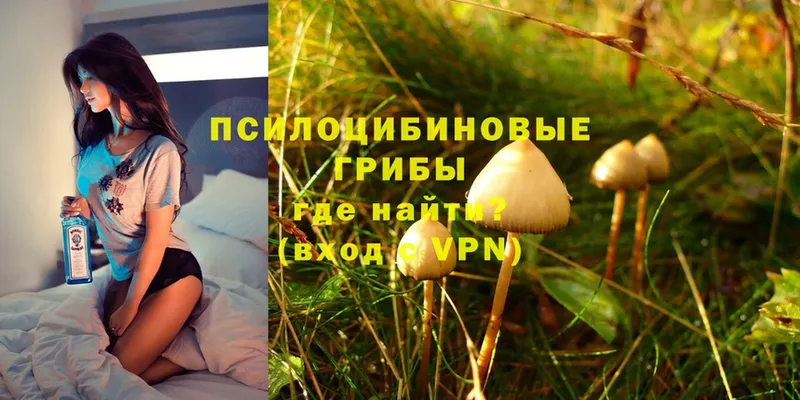 как найти наркотики  Кремёнки  Псилоцибиновые грибы Magic Shrooms 